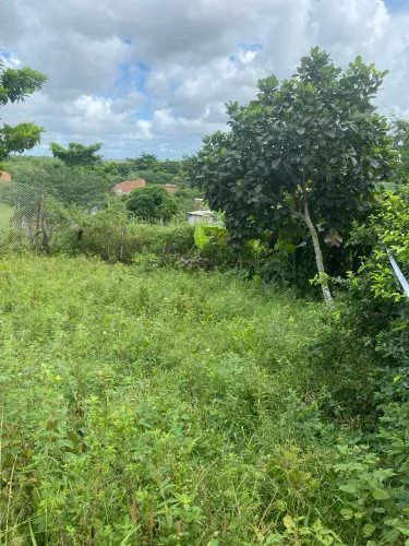 Vendo ou troco terreno medindo 19 metros de largura por 22 metros de comprimento