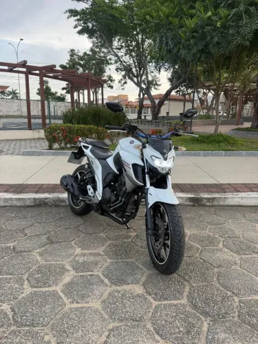 FZ250 2018