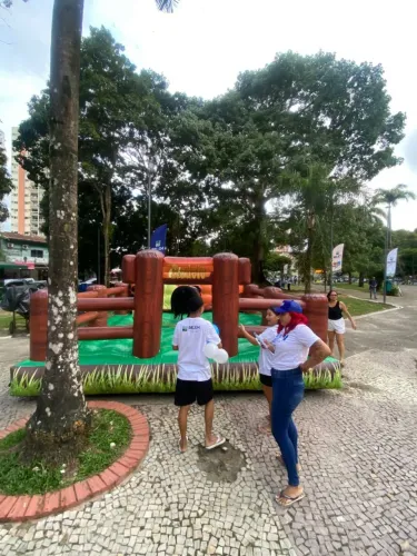 touro mecânico 