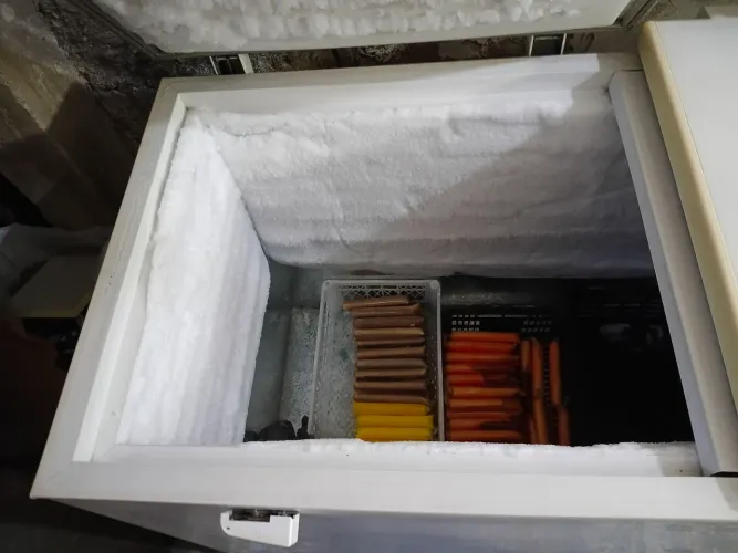 Frezeer Electrolux