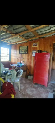 Vendo chácara a 50km de Bento Gonçalves, ou troco por casa no litoral tel *