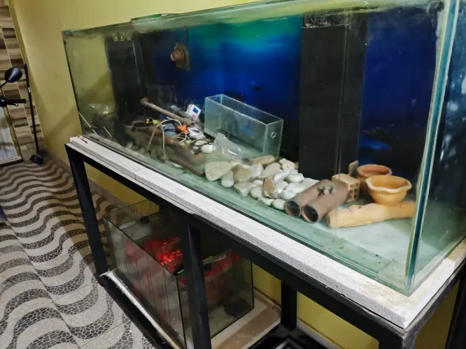 Aquário + sump + móvel