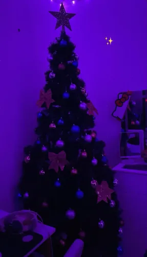 Árvore de Natal 2,10 + enfeites