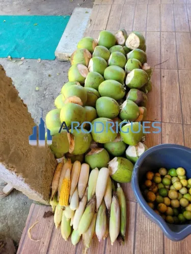 Sítio em Condomínio Barra de Pojuca - Camaçari Documento de Compra e Venda Oportunidade NÃ