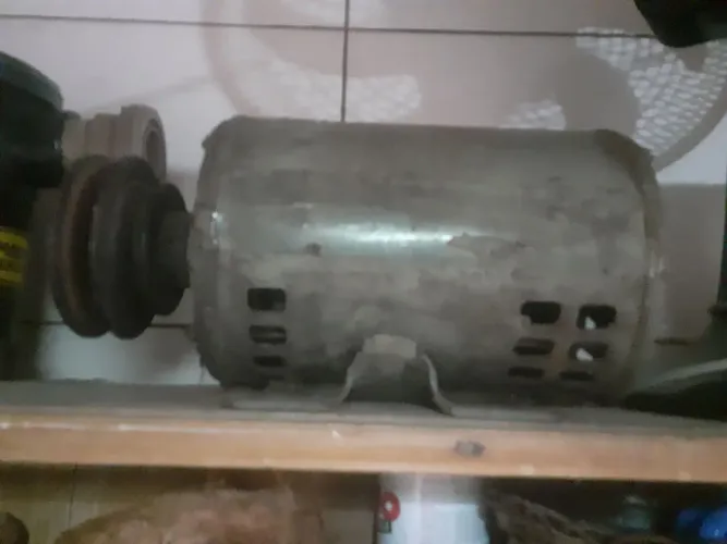 Motor trifazico