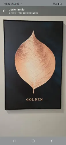 Vendo quadro de tela para sala de visita com apenas 6 meses de uso por motivo de mudança.
