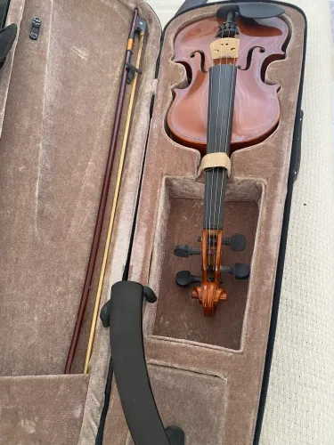 Violino Parrot 