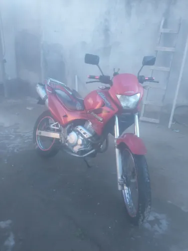 Falcon.em dia