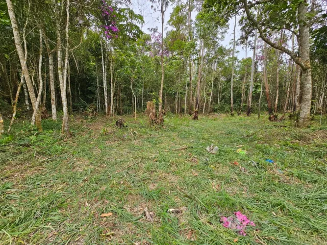 Sitios documentados em Taiaçupeba Mogi das Cruzes