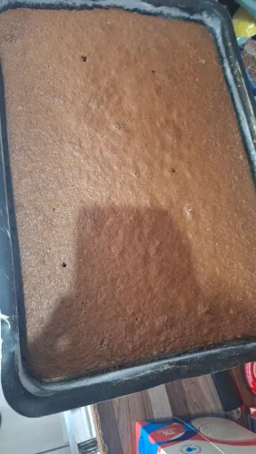 Forno suggar 50 litros