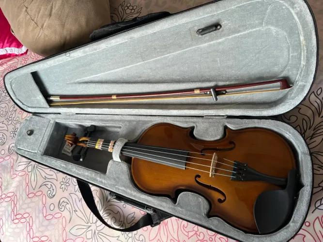 Violino Dominante + Case forrado