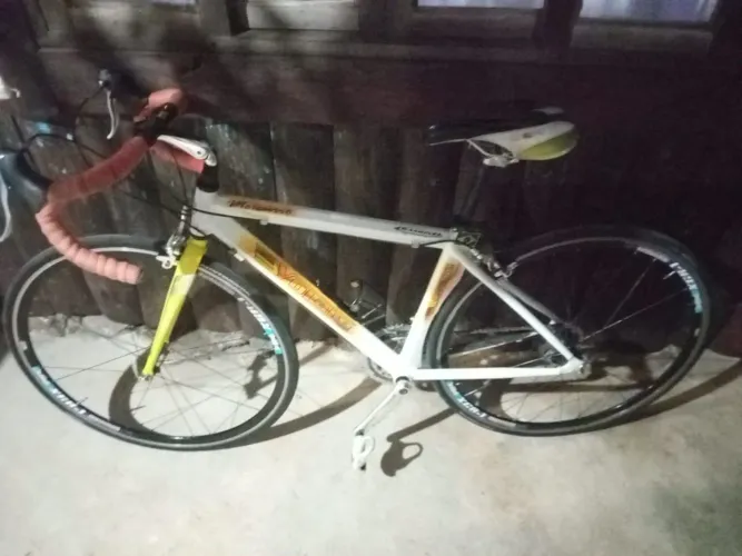 Bike speed