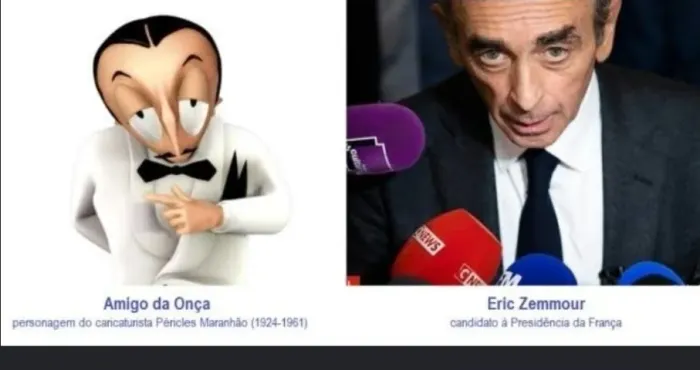 Amigo da onça