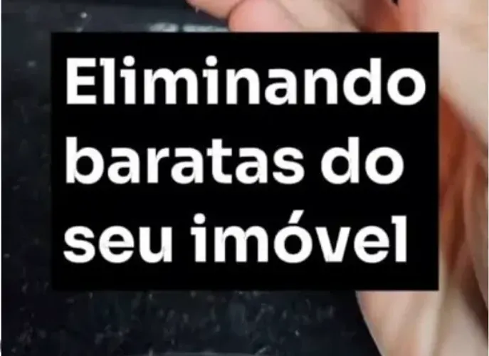 Eliminação de baratas em Goiânia