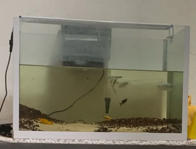AQUÁRIO 72l