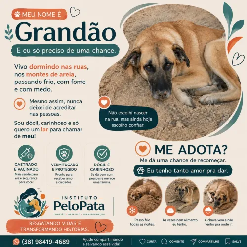 Adote