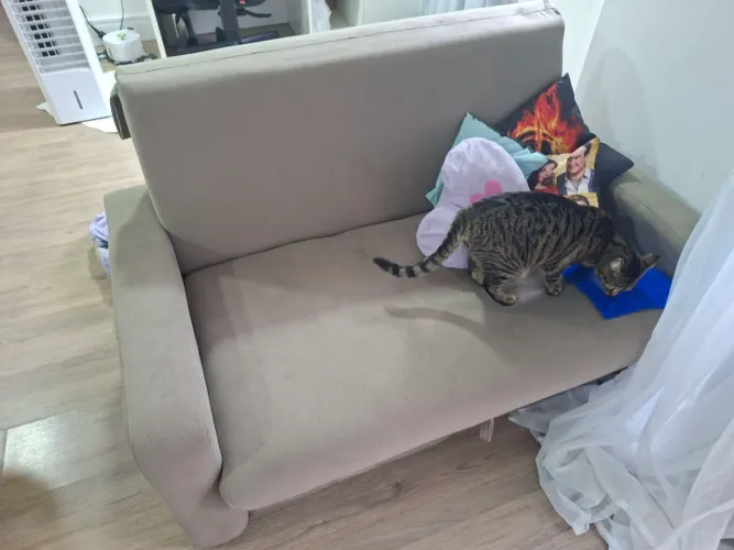 Sofá cama 1,40m