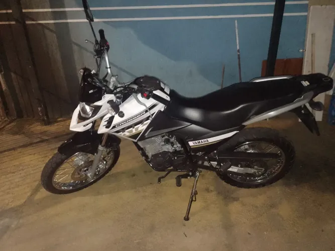 Moto boa