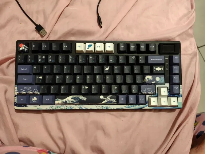 teclado mecânico Womier SK80 ou XVX S-K80 de 75%,