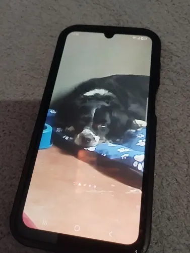 Samsung A15 256GB