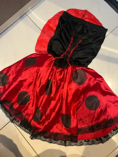 Fantasia de Joaninha