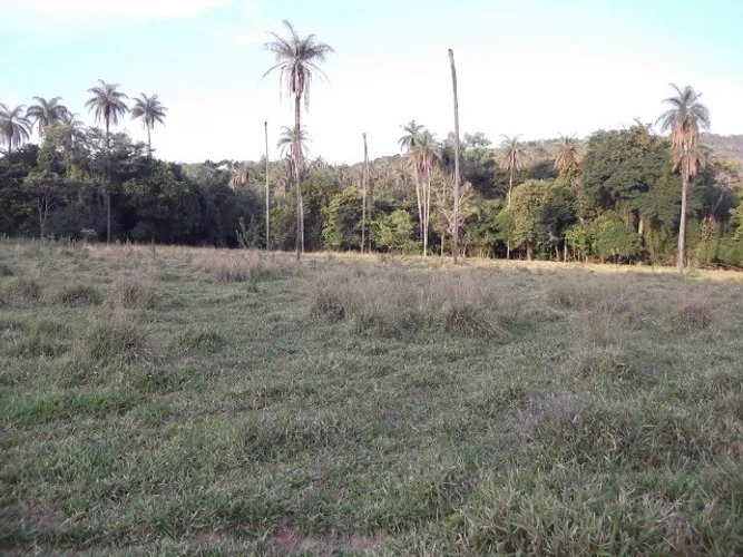Baixao de 80.000m² , luz, rio nos fundos, mata nativa, Jaboticatubas