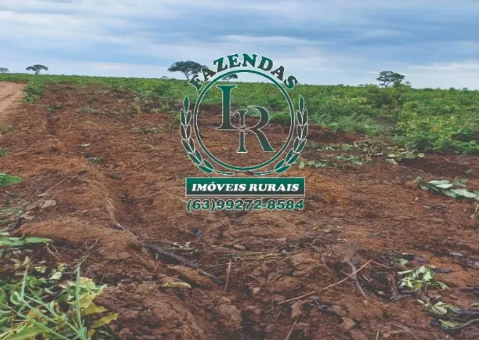 Fazenda Oportunidade 280 Alqueires, ou seja 1.355 hectares.