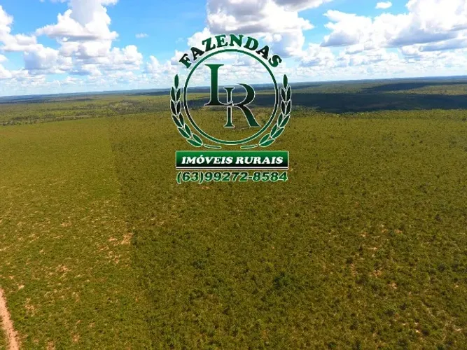 Fazenda 119 Alqueires Bruta Dupla Aptidão