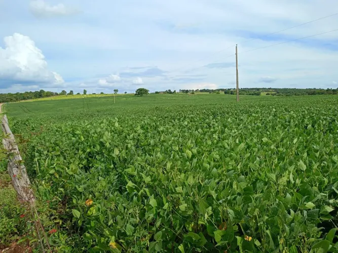 Ótima fazenda em Edéia 
