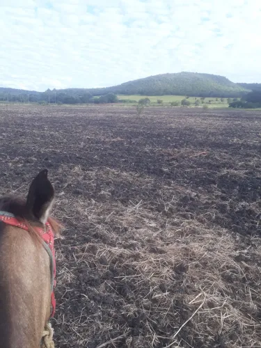 Chacara 44 hectares