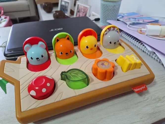 Brinquedo Educativo Fisher-Price - Diversão para Bebês!
