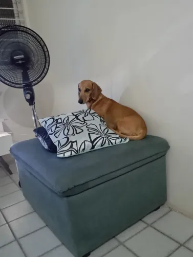 A procura de uma namorada.