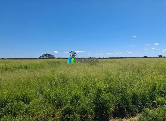 FAZENDA À VENDA - 1.548 HECTARES - JANAÚBA (MG)