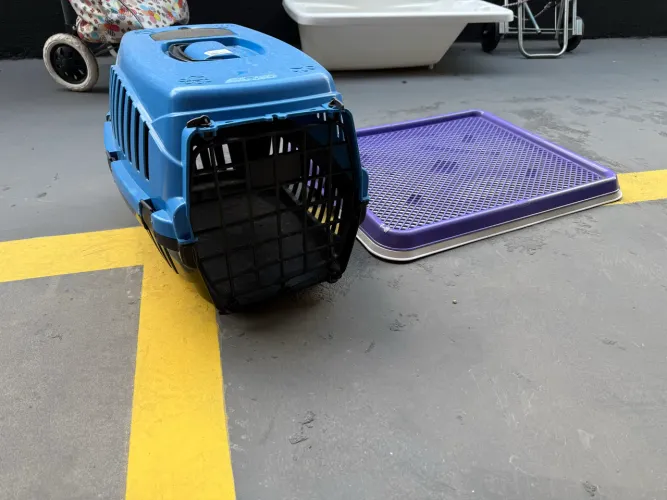 Casinha de transporte para cachorro (pequeno) e sanitário pet