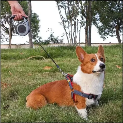 Super Guia retrátil pra cães e Gatos pronta entrega
