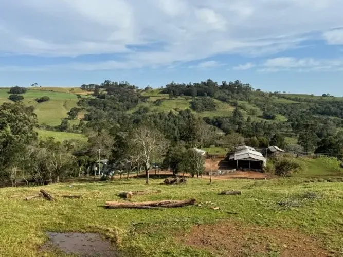 FAZENDA À VENDA EM GUARANIAÇU/PR 107 ALQUEIRES