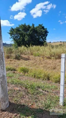 Área 40mil m² residencial à venda Barão Geraldo Campinas S/P
