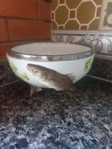 Antiga terrina pés peixe