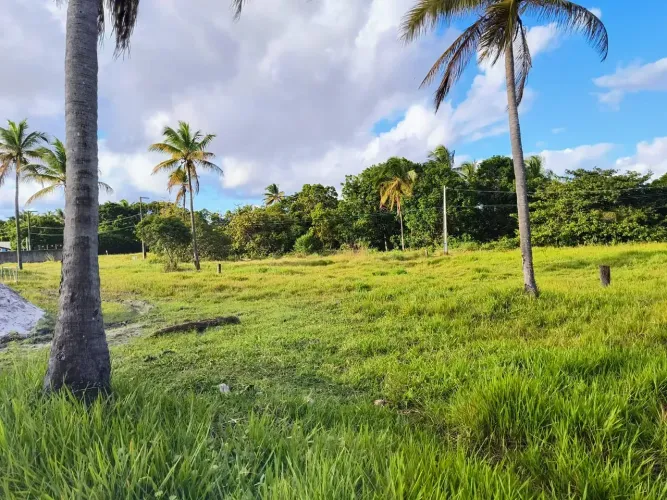 Repasse - Porto coqueiral - excelente área verde - Oportunidade!!