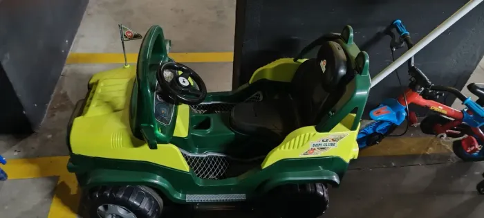 Carrinho de Passeio e Pedal Com Cinto Diipi - Calesita Verde