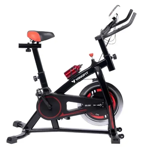 Bicicleta ergométrica