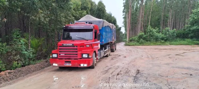 Scania 113 top lane no Rollon Roll off