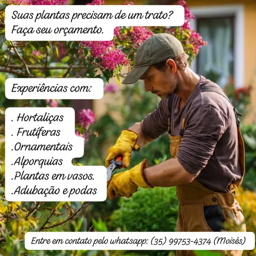 Suas plantas precisam de um trato? Faça seu orçamento.