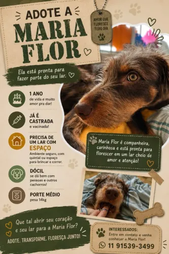 Maria Flor Adoção Responsável