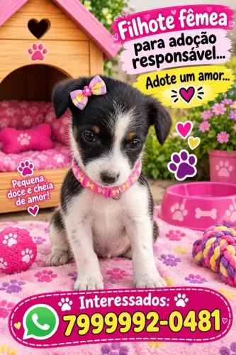 Adoção