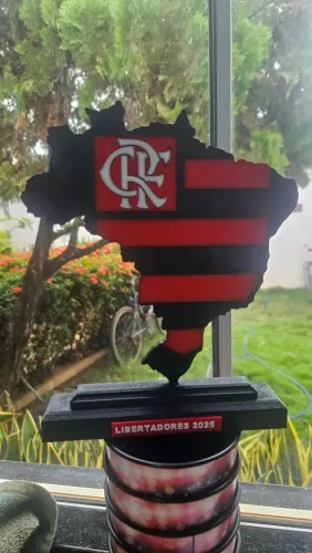Placas flamengo campeão