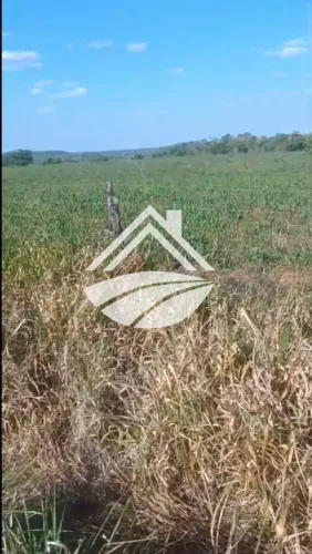 Fazenda para Venda em Araguaína, ampla expansão agropecuária