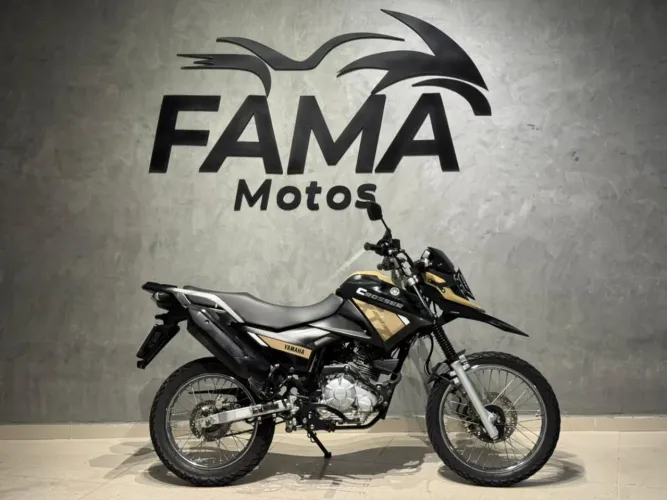 YAMAHA XTZ 150 CROSSER Z FLEX 2024 Flex