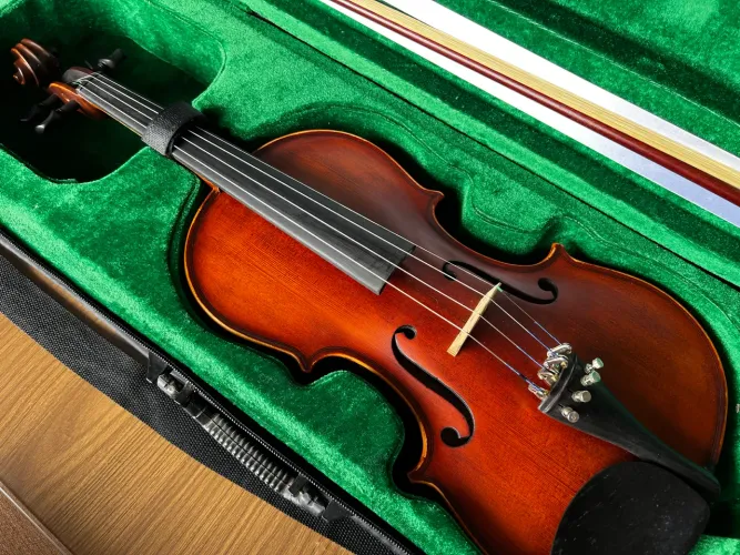 Vendo violino