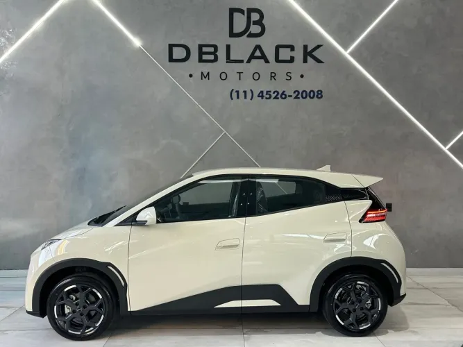 BYD Dolphin Mini (Elétrico) 2027
